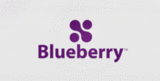 Blueberry Software