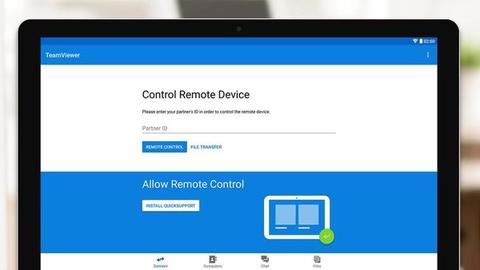 teamviewer online remote access