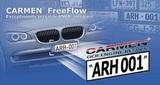 CARMEN Freeflow Licence Plate Recognition Eng